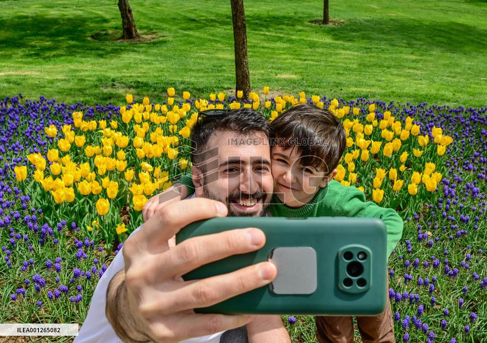 TÜRKIYE-ISTANBUL-TULIP