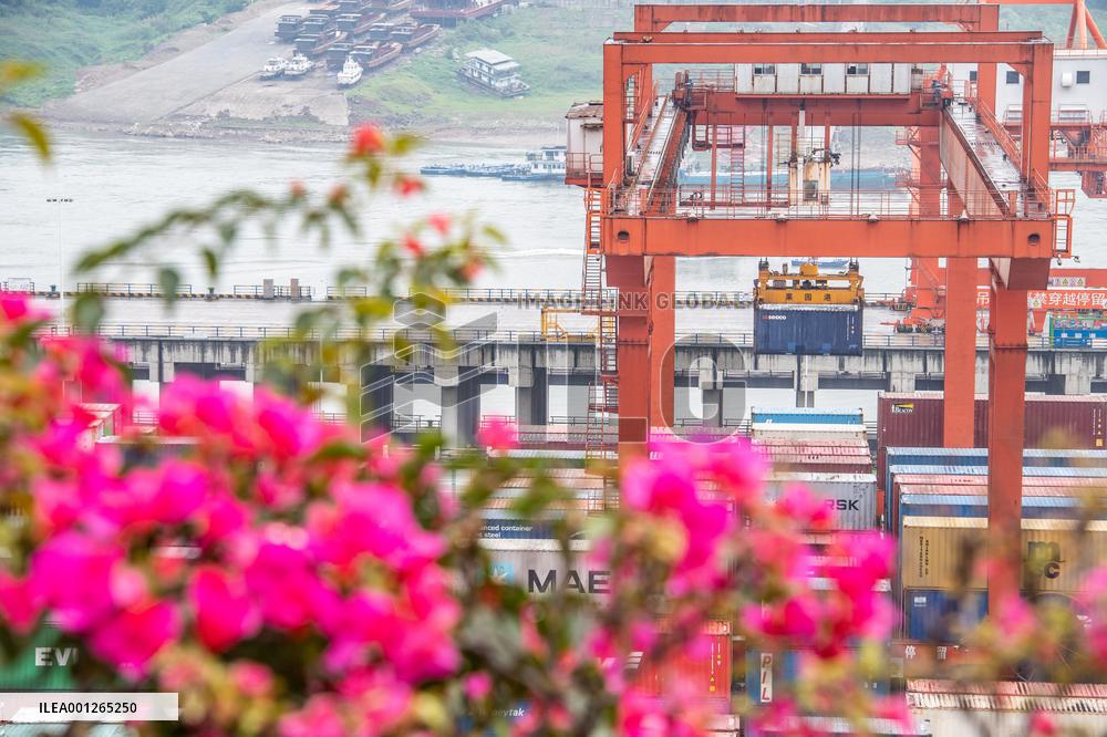 CHINA-CHONGQING-GUOYUAN PORT-THROUGHPUT (CN)