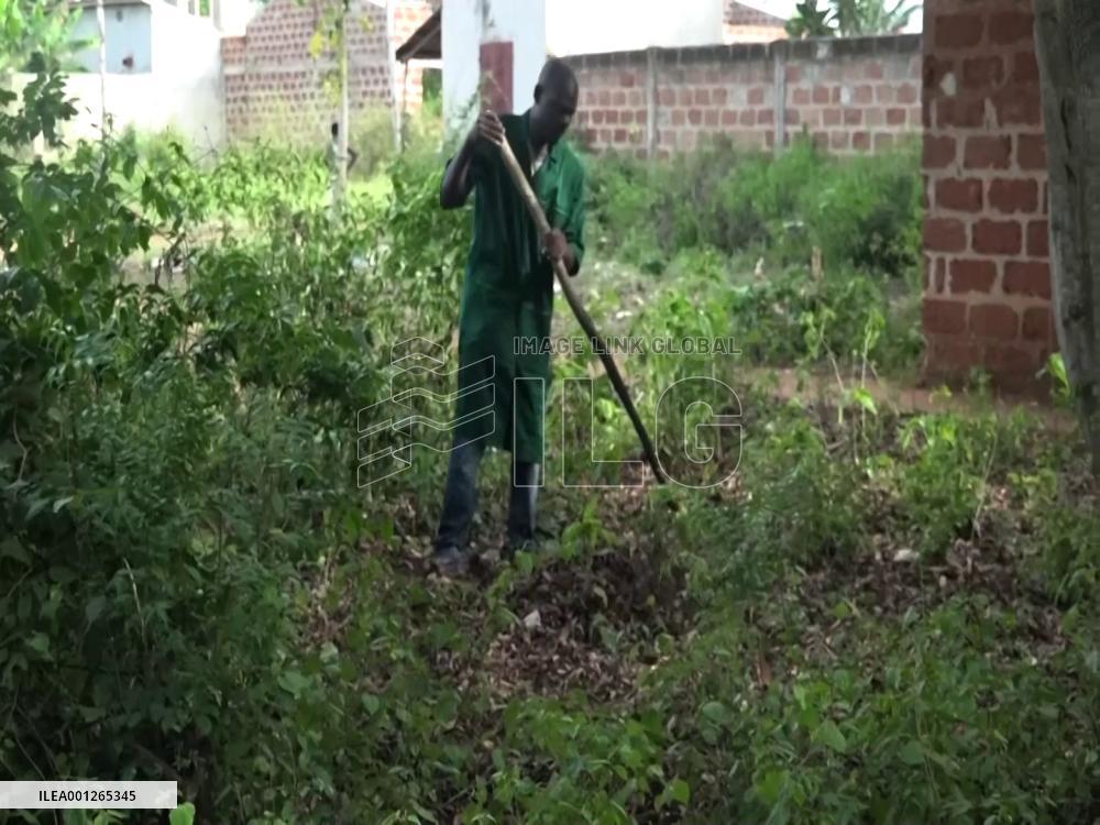Beninese entrepreneur produces eco-charcoal to fight against deforestation