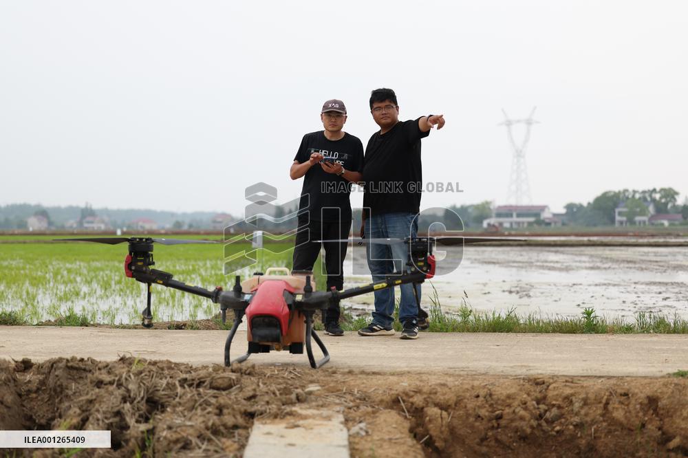 CHINA-HUNAN-YIYANG-AGRICULTURE (CN)