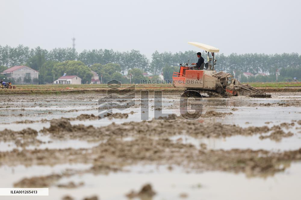 CHINA-HUNAN-YIYANG-AGRICULTURE (CN)