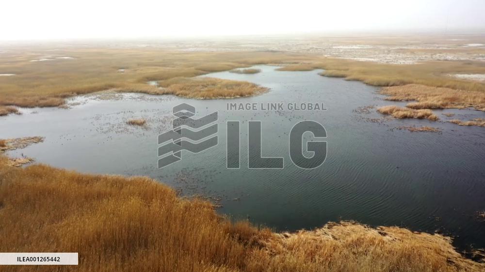 Dried-up lake regains life in China's Gansu