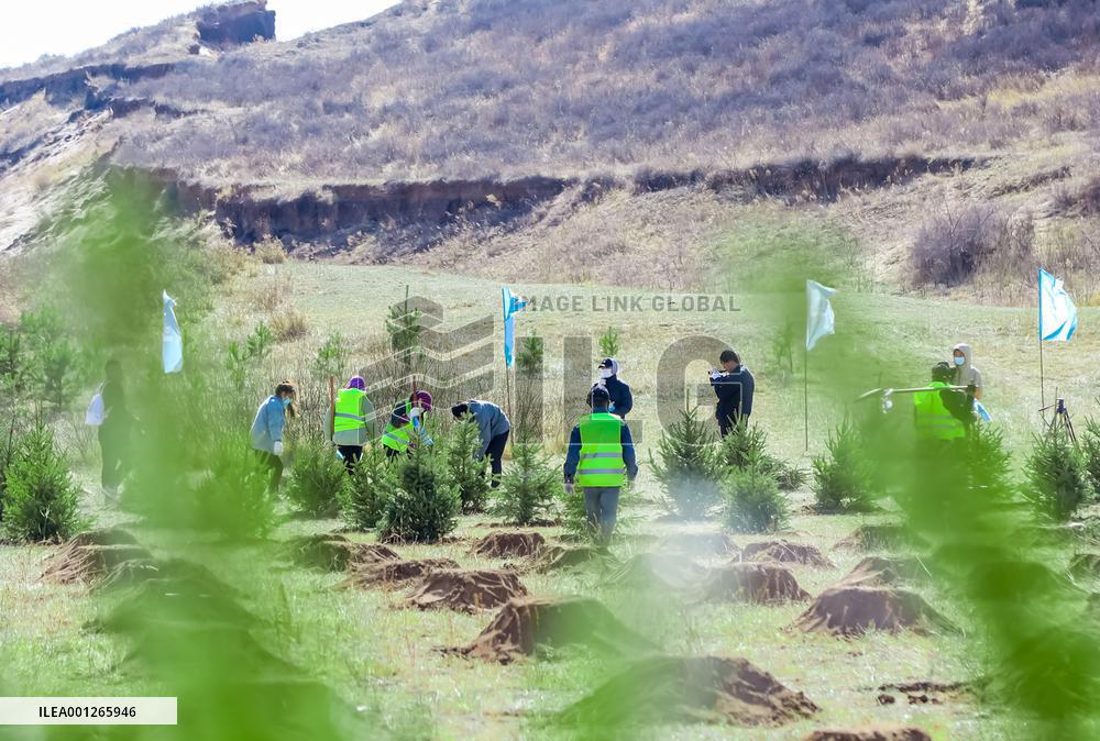 CHINA-INNER MONGOLIA-TREE-PLANTING (CN)