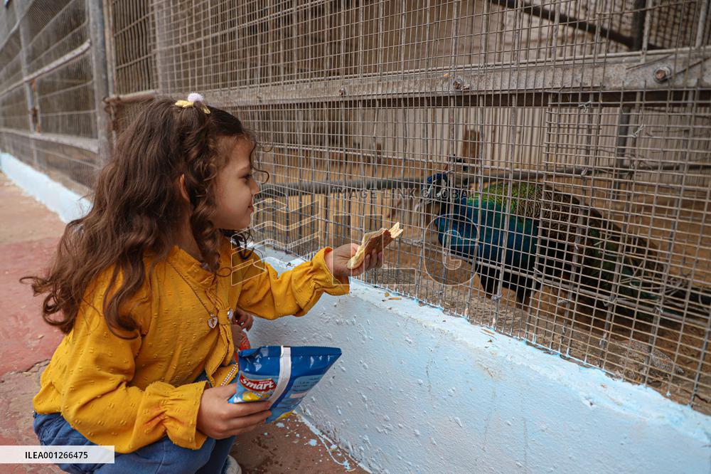 MIDEAST-GAZA CITY-DAILY LIFE