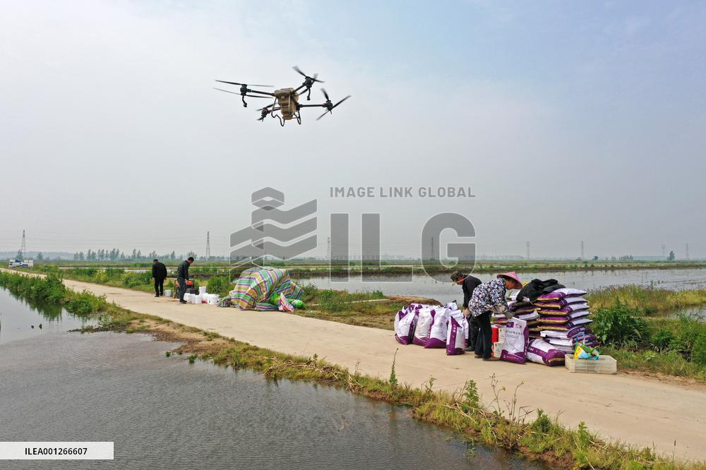 Xinhua Headlines: China's space achievements transforming agriculture