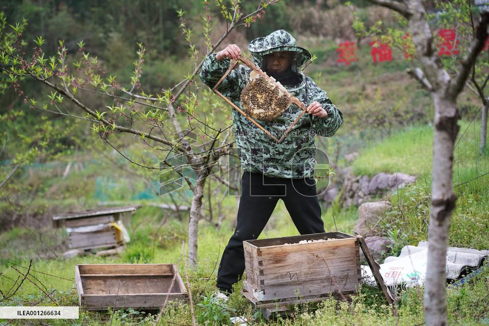 CHINA-JIANGXI-NANCHANG-BEEKEEPING (CN)