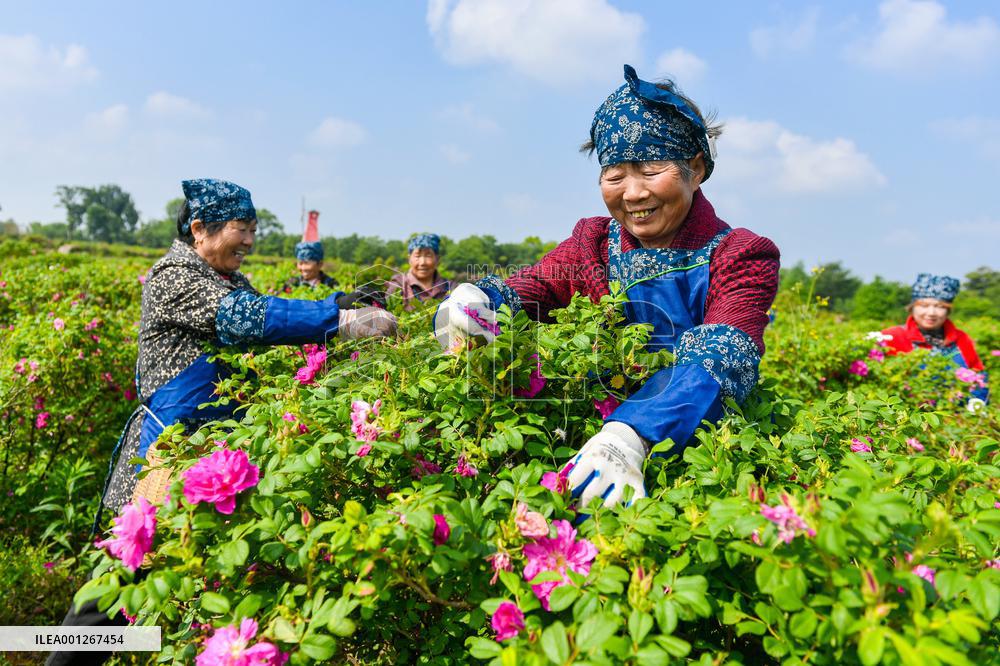 #CHINA-SPRING-FARMING (CN)