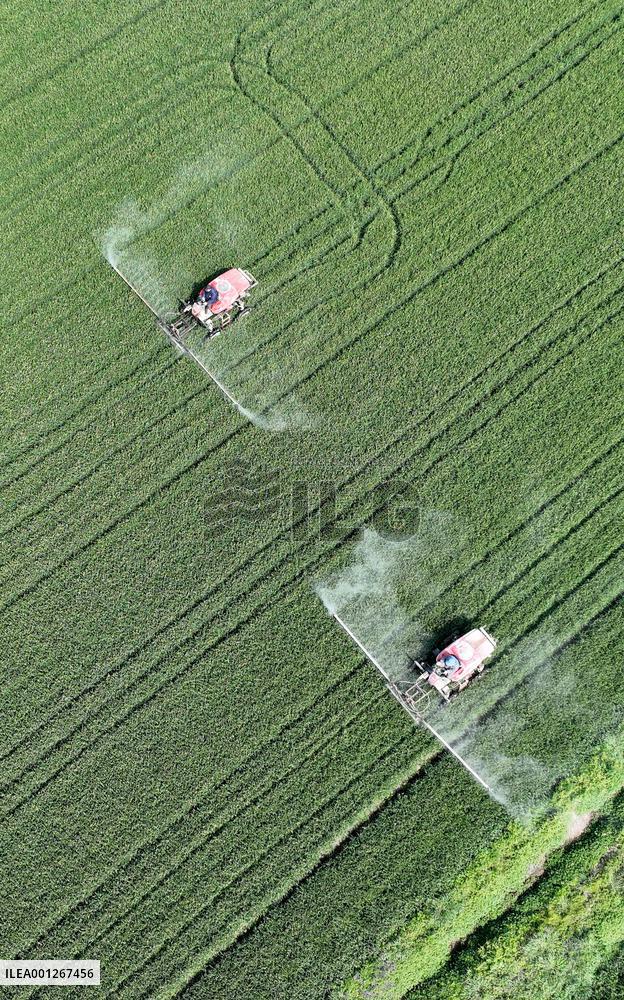 #CHINA-SPRING-FARMING (CN)