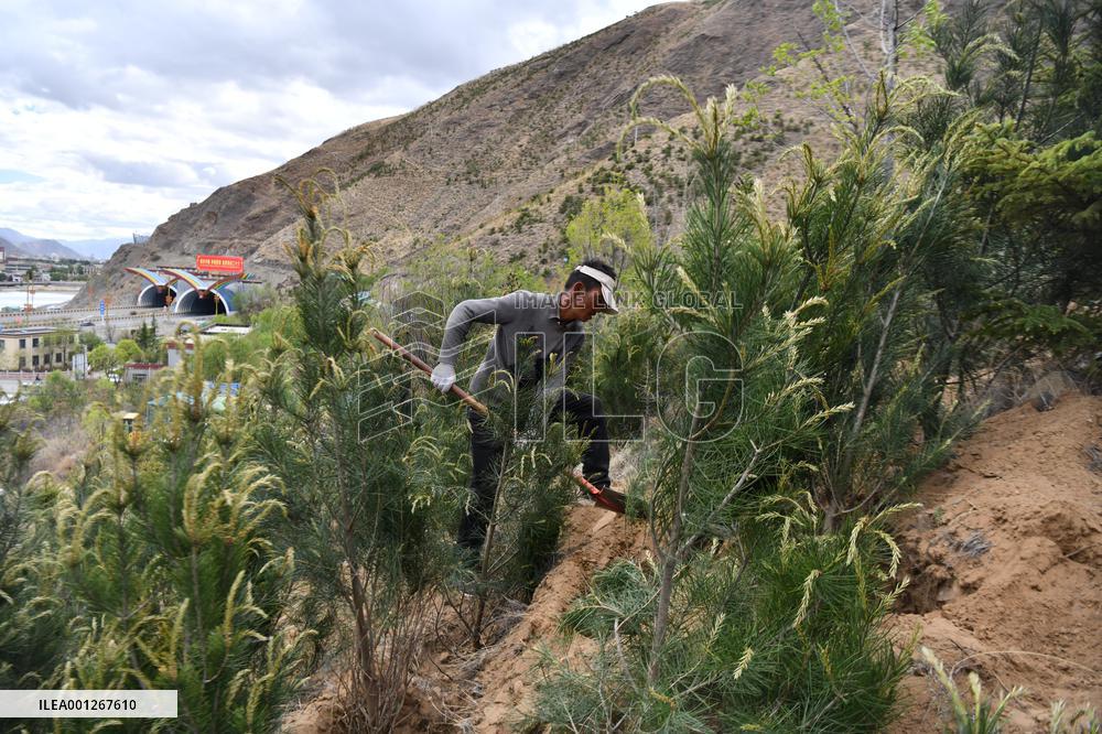 CHINA-TIBET-LHASA-OXYGEN-SUPPLY (CN)