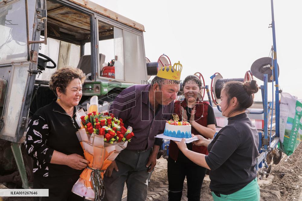 CHINA-XINJIANG-YULI-COTTON-SPRING PLOUGHING (CN)