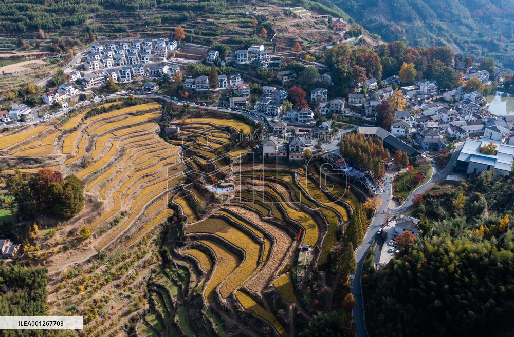 (ZhejiangPictorial)CHINA-ZHEJIANG-TRADITIONAL VILLAGES-PROTECTION (CN)