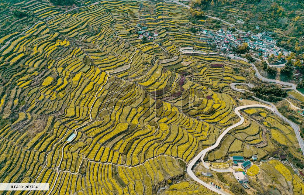 (ZhejiangPictorial)CHINA-ZHEJIANG-TRADITIONAL VILLAGES-PROTECTION (CN)