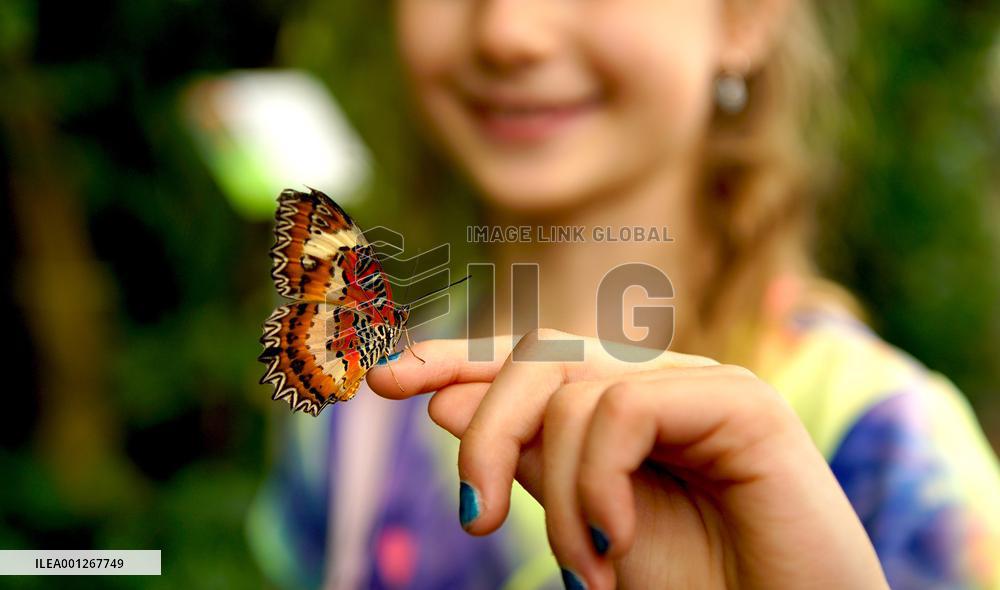 CZECH REPUBLIC-PRAGUE-BUTTERFLY-EXHIBITION