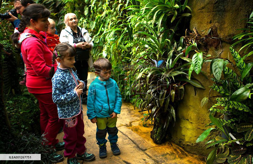 CZECH REPUBLIC-PRAGUE-BUTTERFLY-EXHIBITION