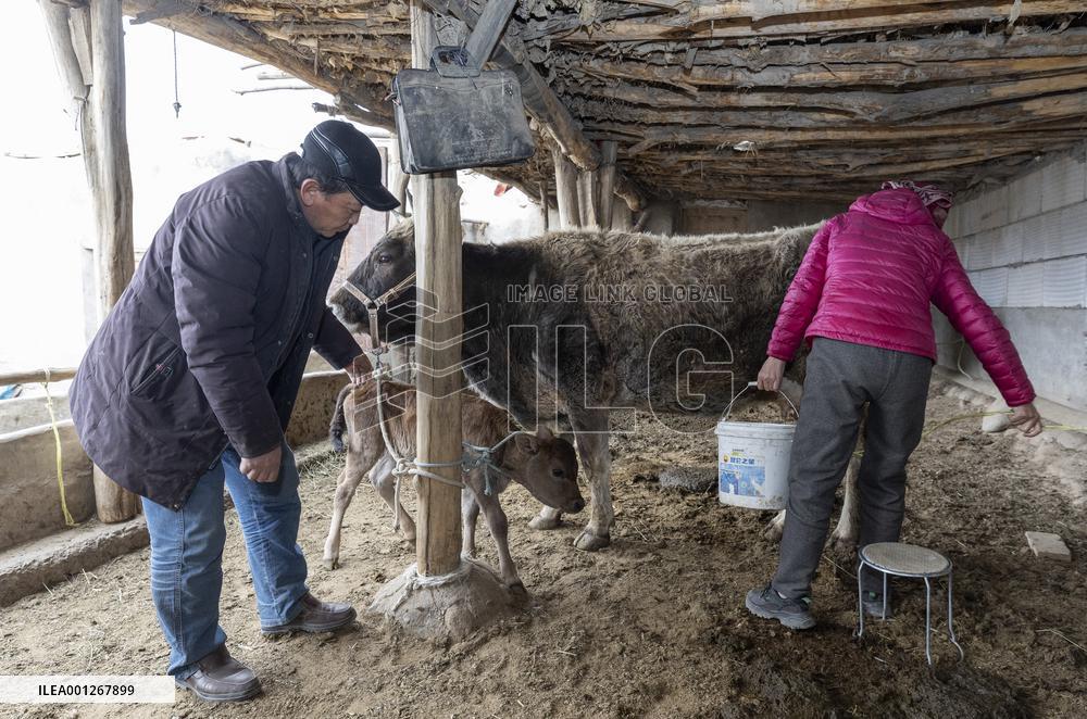 (FOCUS)CHINA-XINJIANG-KIRGIZ-MANAS (CN)