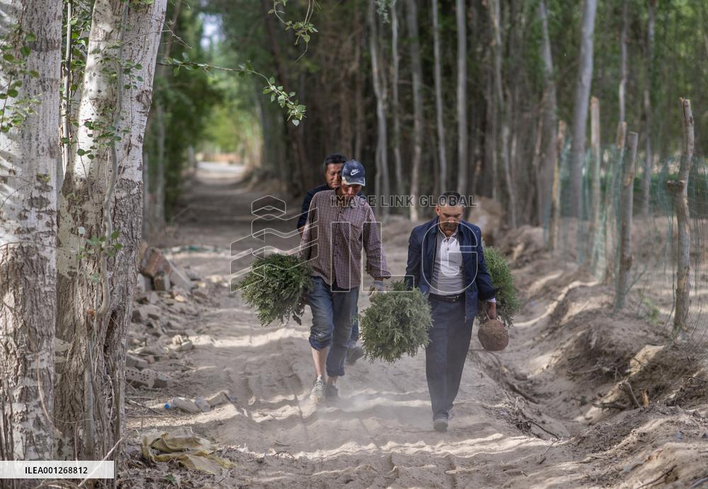 CHINA-XINJIANG-YECHENG-CEMETERY GUARDIANS (CN)