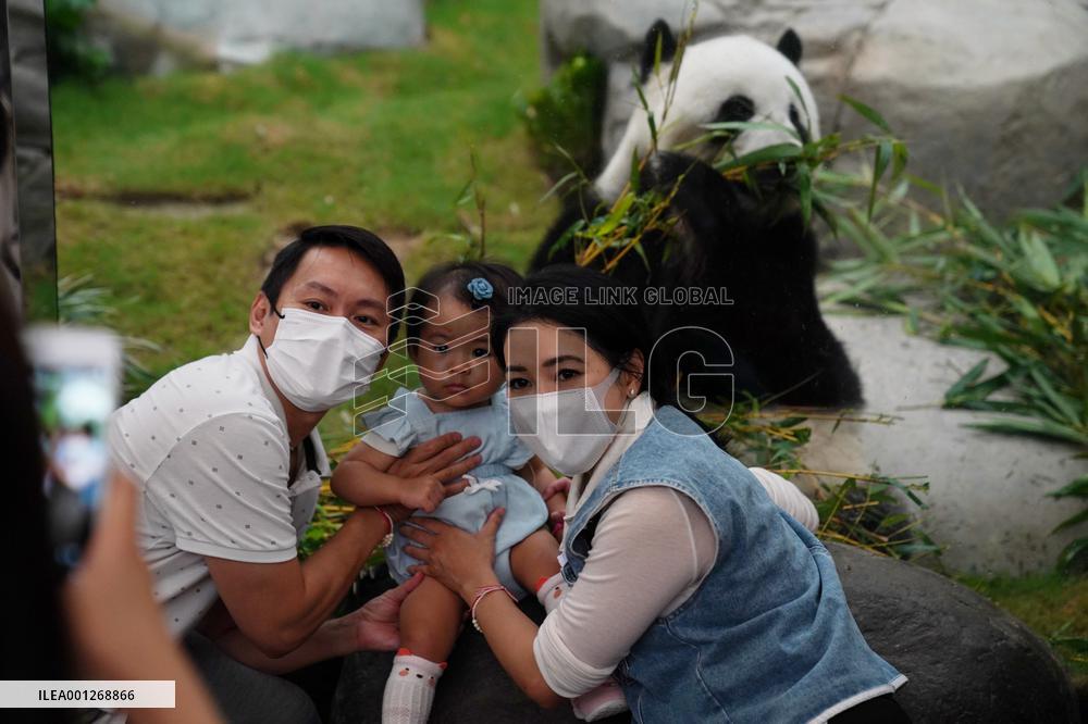 CHINA-HONG KONG-PANDAS-CARETAKERS(CN)