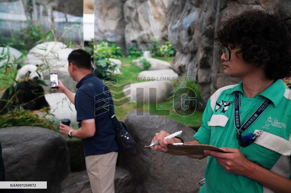 CHINA-HONG KONG-PANDAS-CARETAKERS(CN)