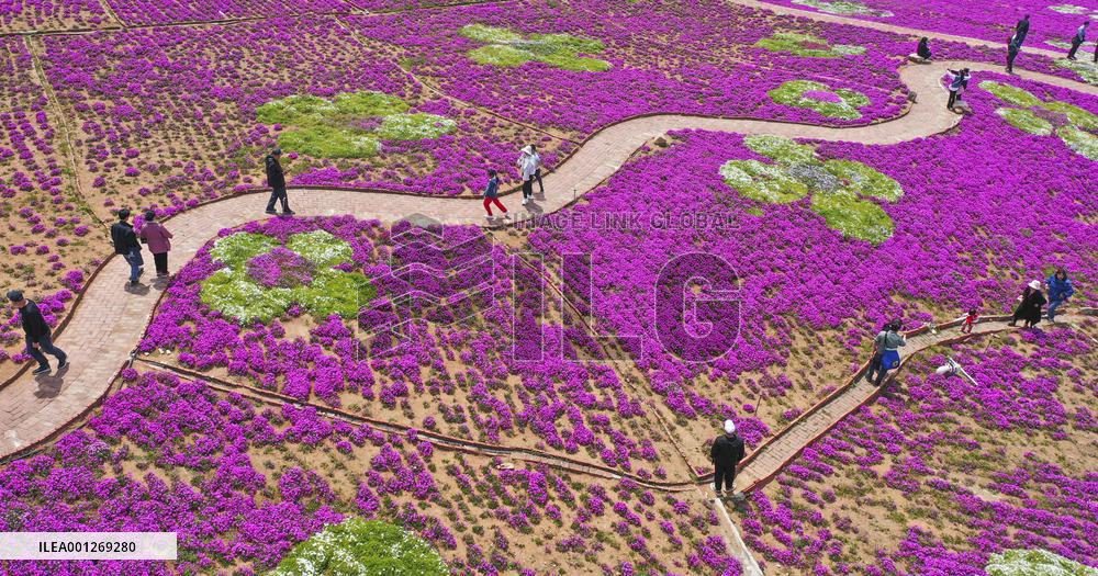 CHINA-MAY DAY HOLIDAY-TOURISM (CN)