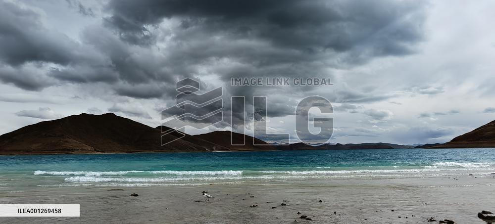 CHINA-TIBET-YAMZBOG YUMCO LAKE-SCENERY (CN)