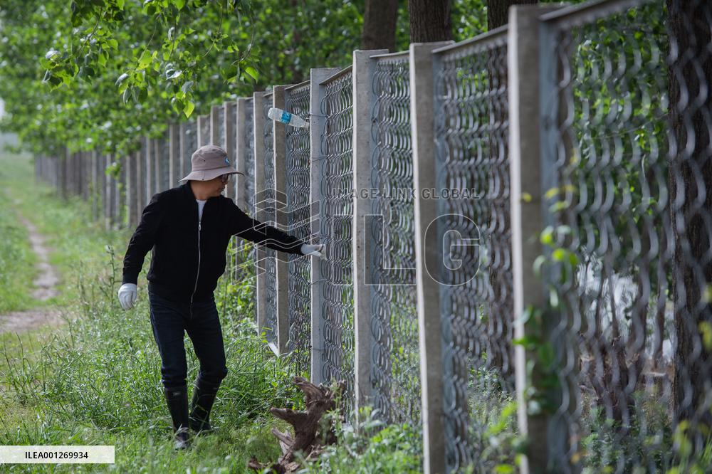 CHINA-HUBEI-SHISHOU-MILU DEER-CONSERVATION (CN)