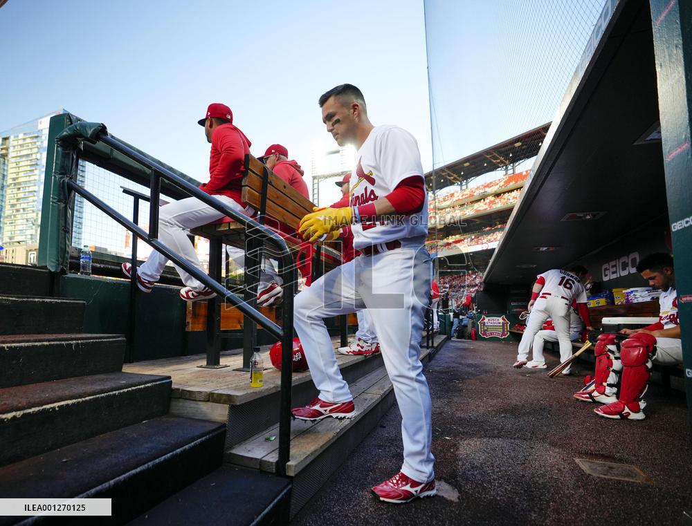 Baseball: Angels vs. Cardinals