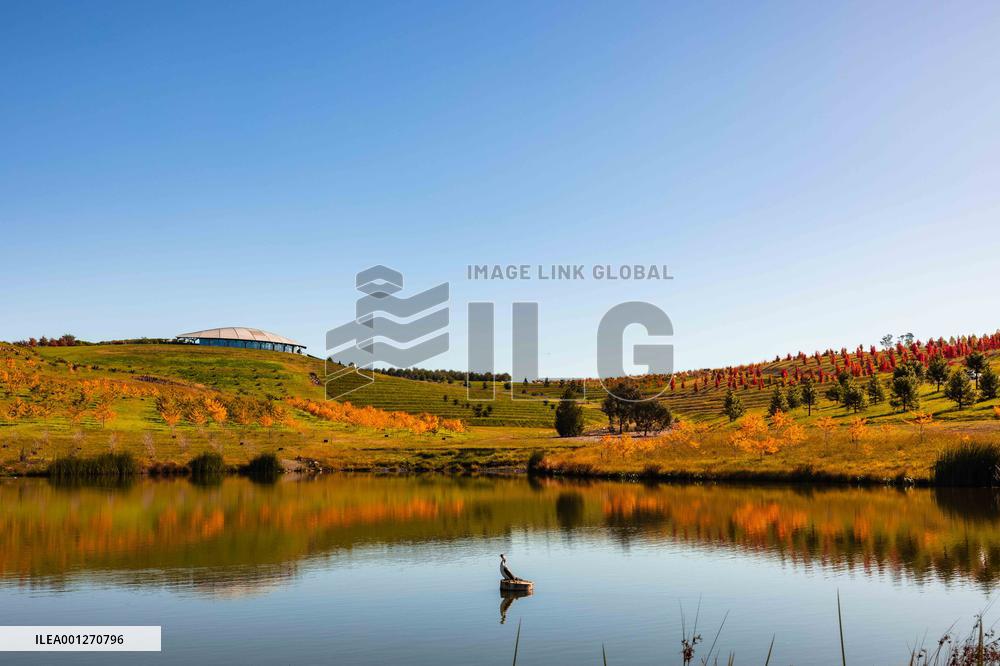 AUSTRALIA-CANBERRA-AUTUMN SCENERY