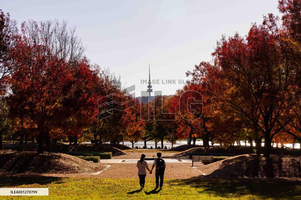 AUSTRALIA-CANBERRA-AUTUMN SCENERY