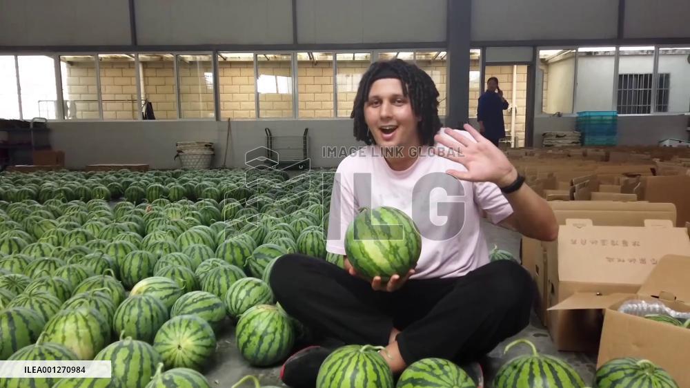 Traditional delicacy on Lixia solar term: watermelon