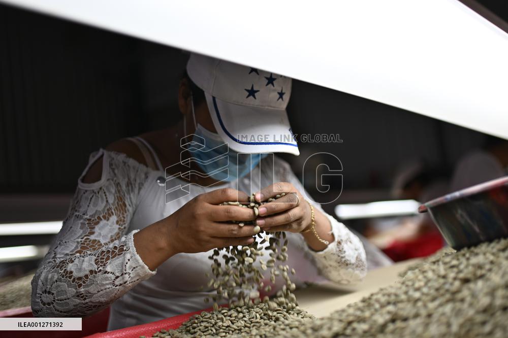 HONDURAS-MARCALA-COFFEE