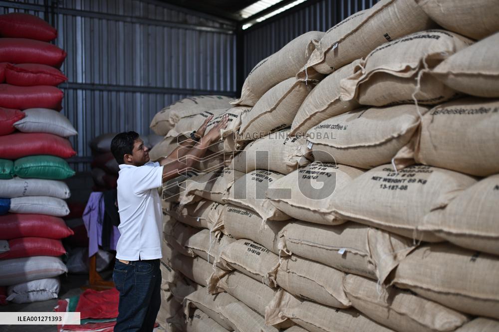 HONDURAS-MARCALA-COFFEE