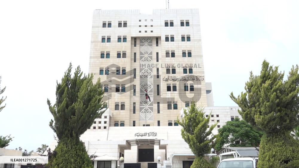 Supportive Arab stance facilitates political settlement of Syrian crisis: experts