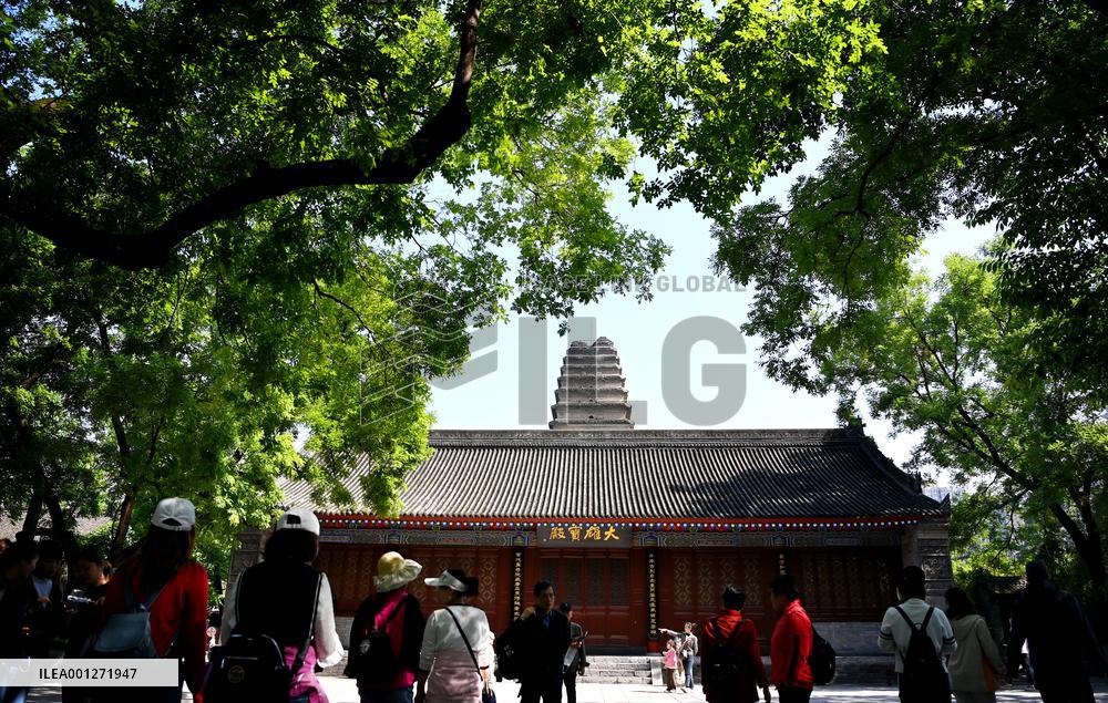 CHINA-SHAANXI-XI'AN-LANDMARK-SMALL WILD GOOSE PAGODA (CN)