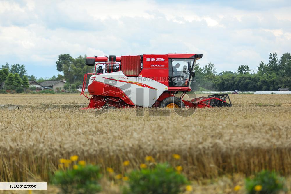 CHINA-SICHUAN-FARMING (CN)