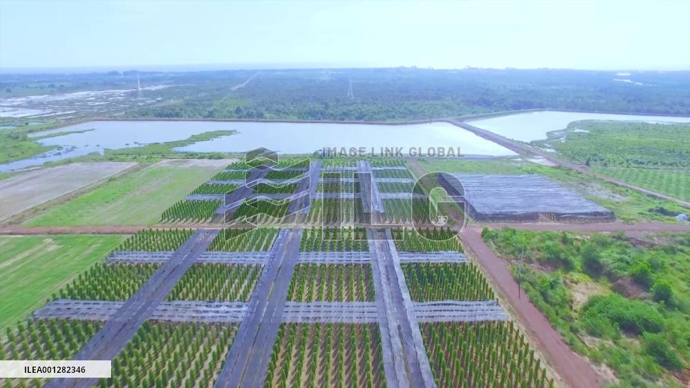 Direct access to Chinese market to boost Cambodia's pepper sector: association chief