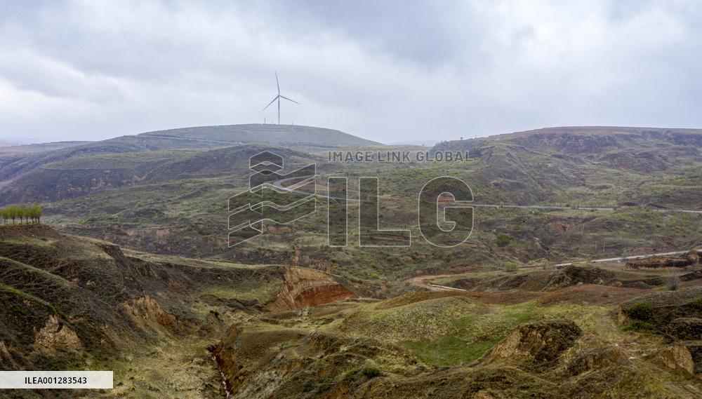 CHINA-NINGXIA-HAIYUAN-RURAL VITALIZATION (CN)