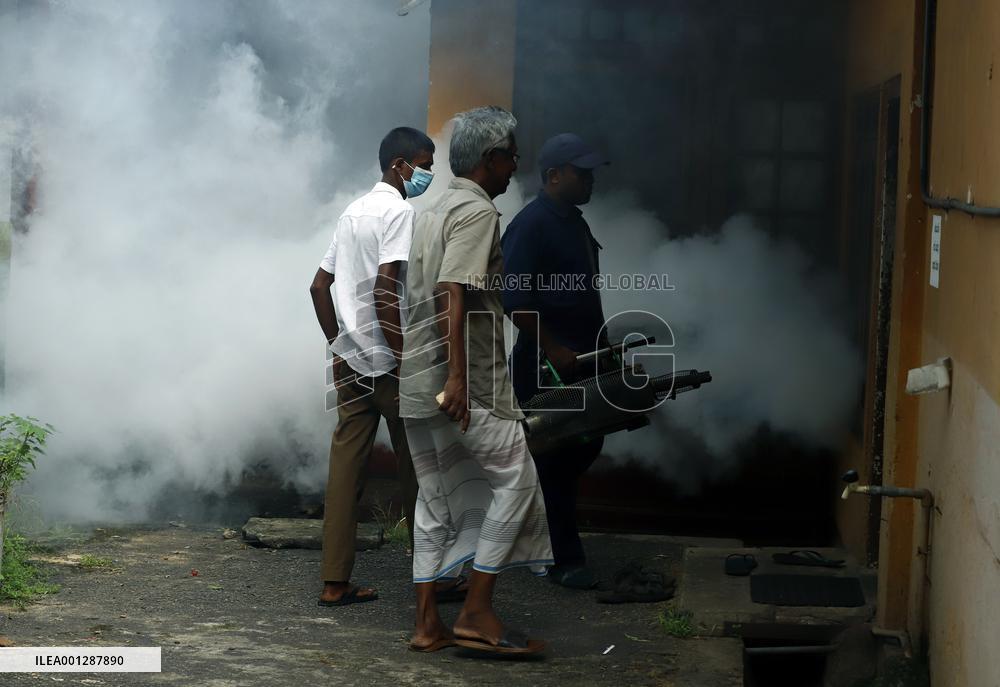 SRI LANKA-COLOMBO-DENGUE-MOSQUITO