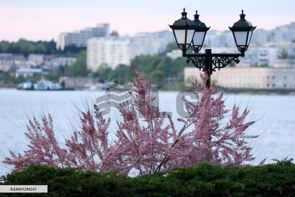 Sevastopol in pictures