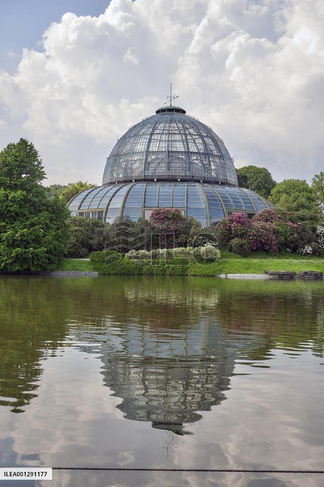 Royals Garden Party - Brussels