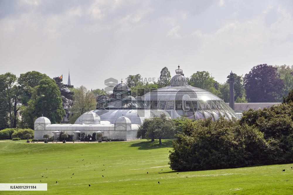 Royals Garden Party - Brussels