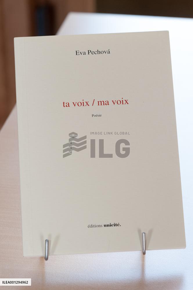 First Book And Gastronomy Fair In Morangis