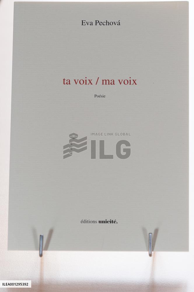 First Book And Gastronomy Fair In Morangis