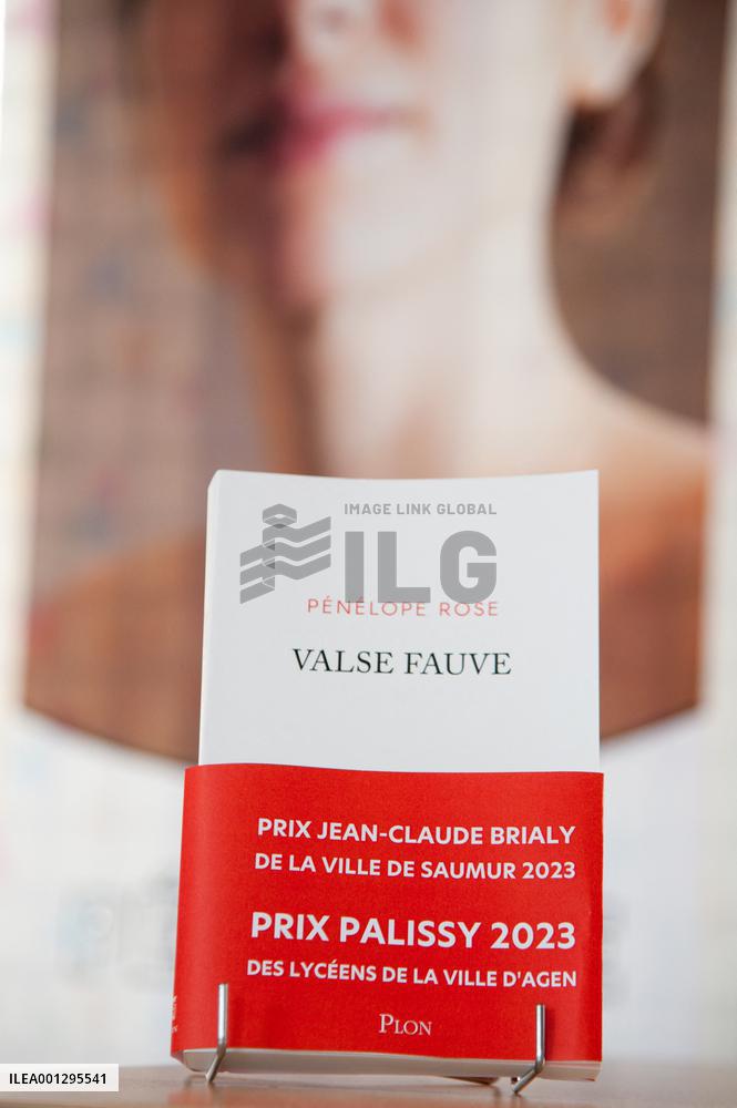 First Book And Gastronomy Fair In Morangis