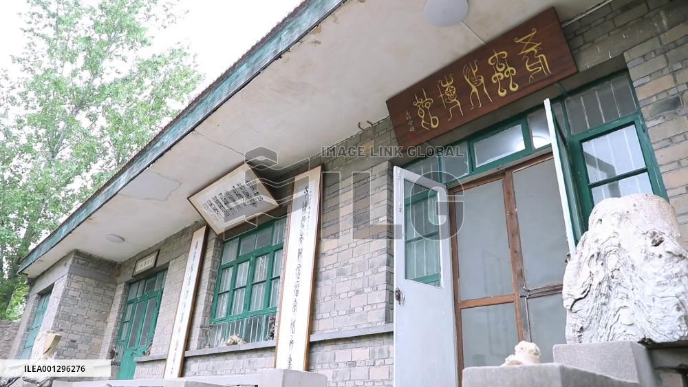 Chinese craftsman turns bug-damaged wood into artworks