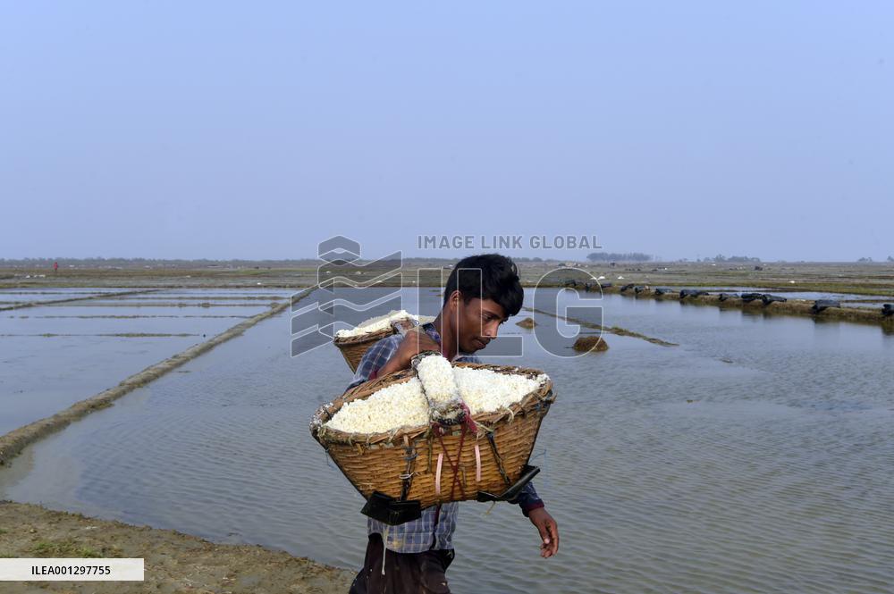 BANGLADESH-COX'S BAZAR-CYCLONE MOCHA-SALT-HARVESTING