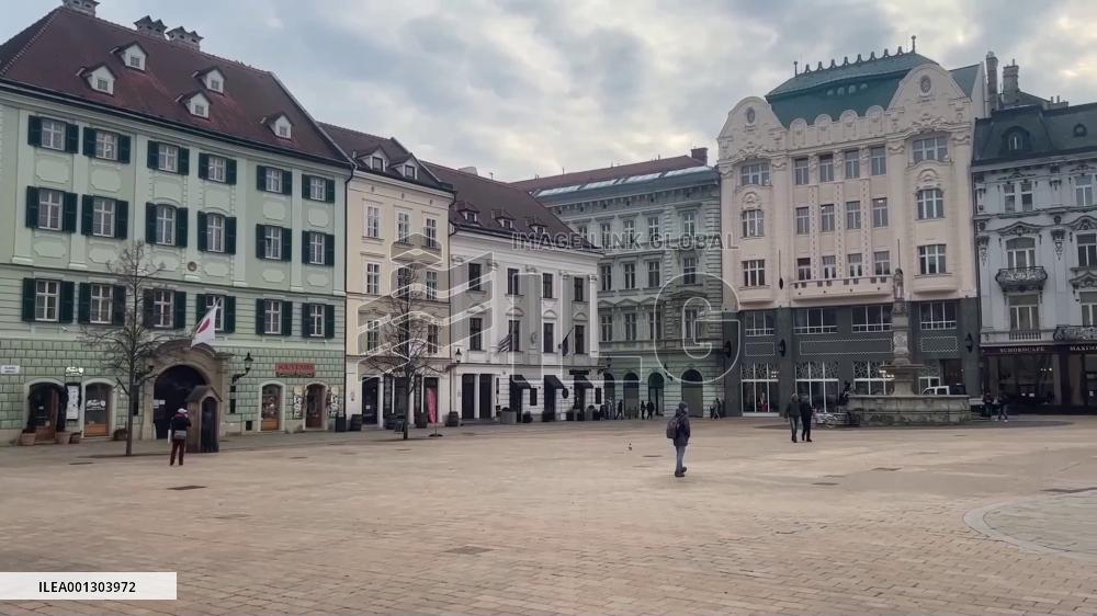 Slovak business leader keen to boost cooperation with China in electromobility, green energy