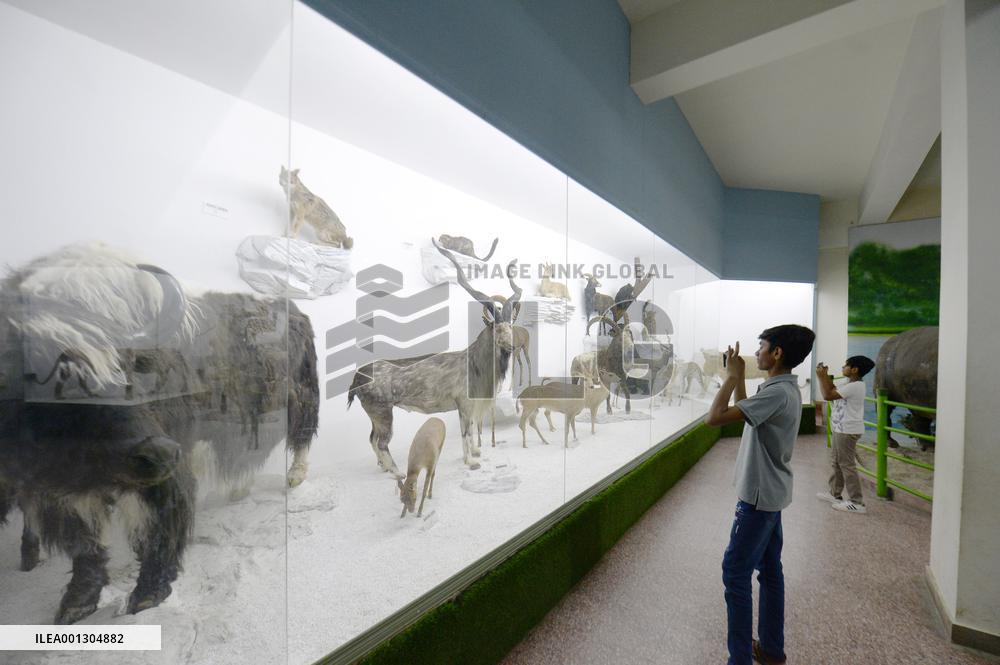 PAKISTAN-ISLAMABAD-MUSEUM OF NATURAL HISTORY