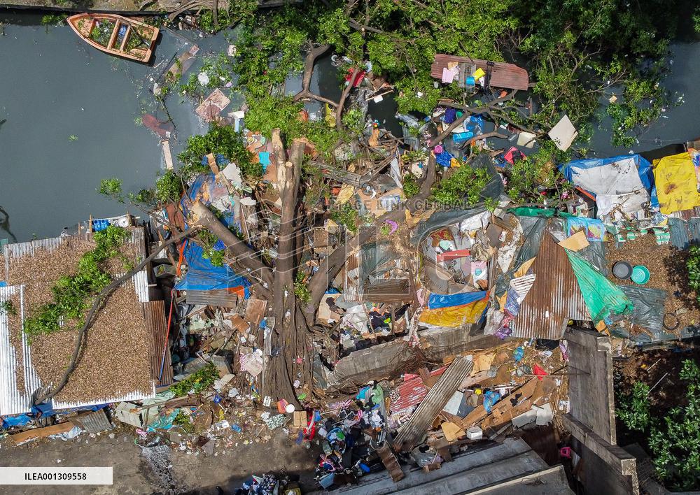 THE PHILIPPINES-MANILA-TREE-COLLAPSE