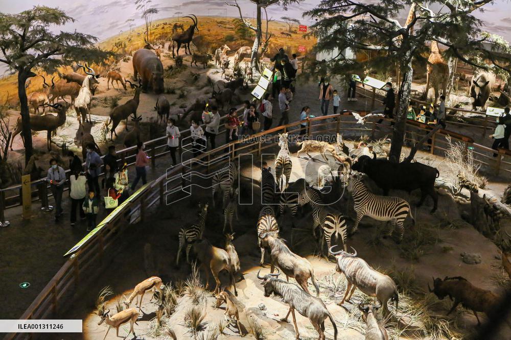 CHINA-SHANGHAI-NATURAL HISTORY MUSEUM (CN)