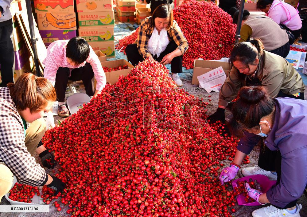 Rural Employment In China
